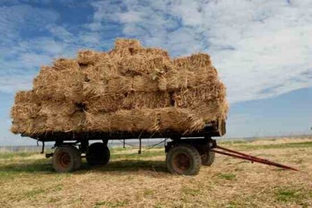 How to Build a Hay Wagon: Do It Yourself and Cheaply Image